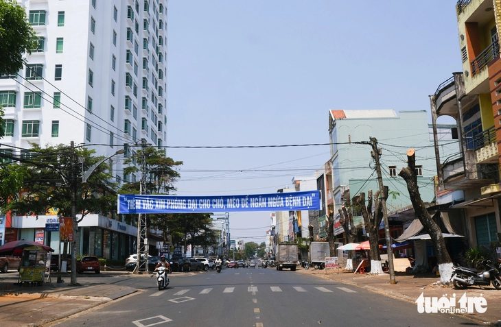 Băng rôn tuyên truyền tiêm vắc xin phòng dại cho chó mèo tại Pleiku, Gia Lai - Ảnh: TẤN LỰC