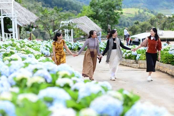 Du khách đi du lịch Đà Lạt dịp cuối năm - Ảnh: QUANG ĐỊNH